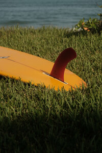 saladita-beach-surf-girl-31