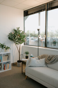 widow angle of an office with cubicle, loveseat, and tall tree