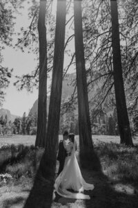 Yosemite-All-Inclusive-Elopement-by-Samantha-Josette-27