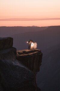 Yosemite-All-Inclusive-Elopement-by-Samantha-Josette-104