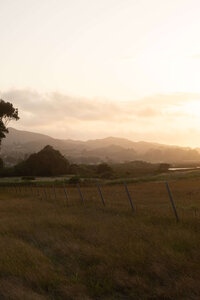slo=laguna-lake-runner-sports-model-54