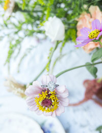 english ivy styled shoot final gallery (5 of 64)