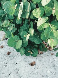 pexels-laurencuddy-16741647