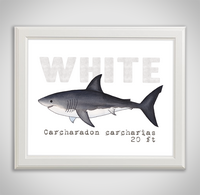white-framed