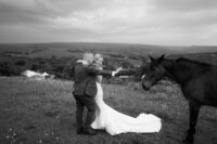 Bride and groom with a horse in an open field at a stable wedding venue