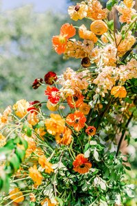 FrancisandLilly_Wedding_0031