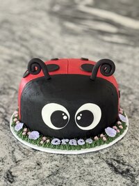 IMG_6582