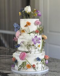 IMG_4925