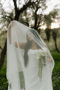 sneakpeeks-16