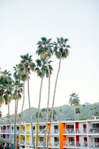 ACWTravelPhotography_101