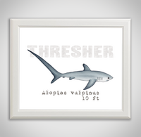 thresher-framed