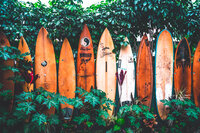 Girlboss-Designer-Travel-Tropical-44