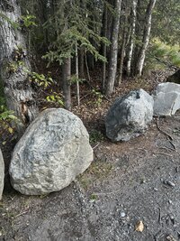 IMG_0977