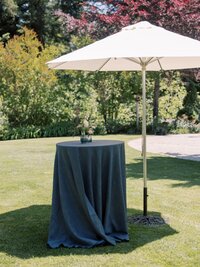 maddie+will-sant-cruz-wedding-river-house-photographer-060725-260