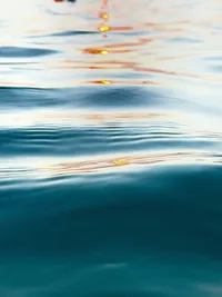 IMG_4238