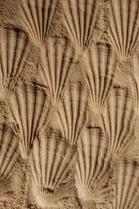 Sand 2