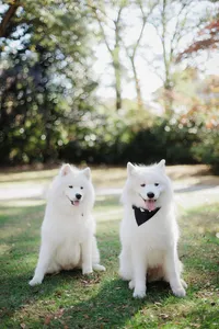 virginiaphotographer-206