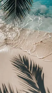 beach and fronde