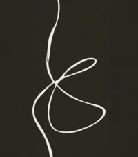 brand and web designer (1)