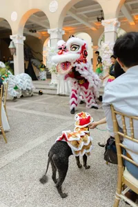 Leslie-Carbajal-Wedding-Photography-40