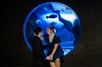 3-DALLAS-FORT-WORTH-engagement-wedding-photographer-dallas-world-aquarium-