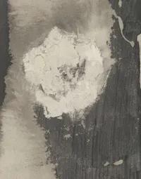 Design Provenance-Vintage Texture 2