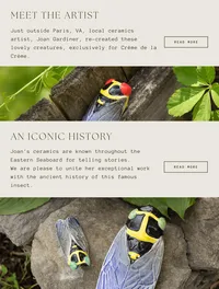 Crème de la Crème website content featuring French ceramic artist Joan Gardiner and her sculptural cicadas.