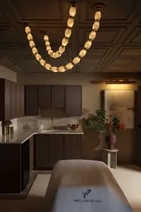 msb-interior-design-wellness-co-statement-chandelier