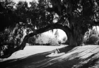 emmykienastphotography-245