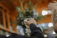 ShadowShinePictures-MirandaMichael-Grand-Rapids-Wedding-Photography-75