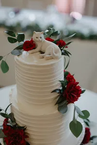 ShadowShinePictures-JeanaKyle-Detroit-Wedding-Photography-73