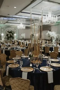 ShadowShinePictures-NityaHarsha-Dearborn-Wedding-Photography-149