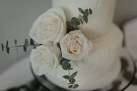 ShadowShinePictures-PeytonEgan-Grand-Rapids-Wedding-Videography-19