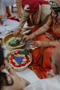 ShadowShinePictures-NityaHarsha-Dearborn-Wedding-Photography-76