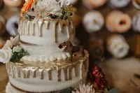 ShadowShinePictures-AmandaKarissa-Berrien-Springs-Wedding-Photography-103