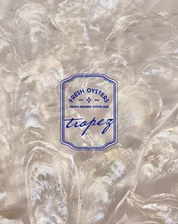 Submark branding in blue for fresh oyster bar