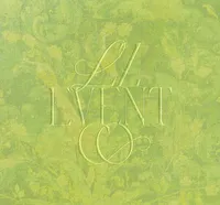 Luxury wedding planner branding for LZ Event Co featuring custom logo design on neon green brand pattern