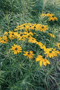 CourtneyMischePhotography-2