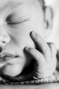 in home newborn and family photographer twin cities mn