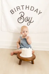 milestone photographer cake smash near woodbury mn