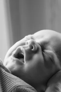 newborn photographer near woodbury mn