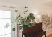 sheila_mraz-3803_showit