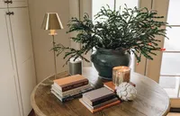 sheila_mraz-3079