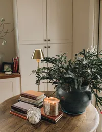 sheila_mraz-3083