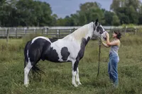 Senior with her horse Indianapolis senior photos