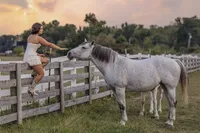 Senior girl sitting on fance with her horse nearby Indiana senior photographer