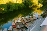 Punts moored on the river in Oxford in evening light, 35mm film