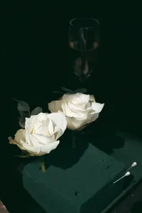 Artistic close-up of white bridal flowers against a dark background