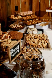 Pittsburgh-Wedding-Planners-Mack-and-Jack-Events024