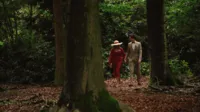 Still_L&S21